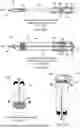 Fig. 08 - TRANSVAGINAL ACCESS APPARATUS AND METHODS