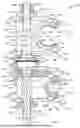 Fig. 12 - EXTERNAL FIXATOR ASSEMBLY