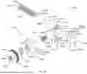 Fig. 42 - EXTERNAL FIXATOR ASSEMBLY