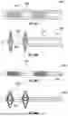 Fig. 29 - SYSTEM AND METHODS FOR APPLYING ENERGY FOR CARDIAC SYMPATHETIC DENERVATION