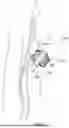 Fig. 46 - SYSTEM AND METHODS FOR APPLYING ENERGY FOR CARDIAC SYMPATHETIC DENERVATION