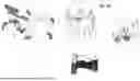 Fig. 09 - MEDICAL DEVICE NAVIGATION TRACKING