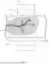 Fig. 08 - SYSTEMS AND METHODS FOR ROBOTIC MEDICAL SYSTEM INTEGRATION WITH EXTERNAL IMAGING