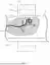 Fig. 09 - SYSTEMS AND METHODS FOR ROBOTIC MEDICAL SYSTEM INTEGRATION WITH EXTERNAL IMAGING