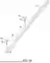 Fig. 07 - FLEXIBLE SURGICAL STENCILS AND RELATED METHODS