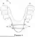Fig. 09 - FORCE CONTROL, STOP MECHANISM, REGULATING STRUCTURE OF REMOVABLE ARCH ADJUSTMENT APPLIANCE
