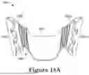 Fig. 23 - FORCE CONTROL, STOP MECHANISM, REGULATING STRUCTURE OF REMOVABLE ARCH ADJUSTMENT APPLIANCE