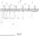 Fig. 03 - Dental Alveolar Prosthesis