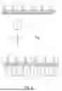 Fig. 06 - Dental Alveolar Prosthesis