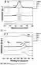 Fig. 03 - ZIRCONIA SURFACE TREATMENT METHOD