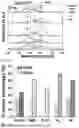 Fig. 04 - ZIRCONIA SURFACE TREATMENT METHOD