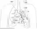 Fig. 01 - ROBOTIC SYSTEMS FOR DELIVERING ENDOBRONCHIAL IMPLANTS AND RELATED TECHNOLOGY
