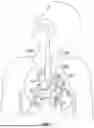 Fig. 02 - ROBOTIC SYSTEMS FOR DELIVERING ENDOBRONCHIAL IMPLANTS AND RELATED TECHNOLOGY