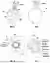 Fig. 08 - ROBOTIC SYSTEMS FOR DELIVERING ENDOBRONCHIAL IMPLANTS AND RELATED TECHNOLOGY