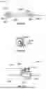 Fig. 43 - ROBOTIC SYSTEMS FOR DELIVERING ENDOBRONCHIAL IMPLANTS AND RELATED TECHNOLOGY