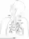 Fig. 02 - METHODS AND SYSTEMS FOR TREATING PULMONARY DISEASE