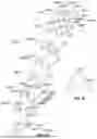 Fig. 13 - METHODS AND SYSTEMS FOR TREATING PULMONARY DISEASE