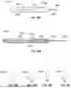 Fig. 17 - METHODS AND SYSTEMS FOR TREATING PULMONARY DISEASE