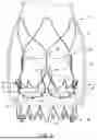 Fig. 05 - REPLACEMENT HEART VALVE IMPLANT