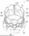 Fig. 01 - PROSTHETIC HEART VALVE