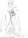 Fig. 01 - SEALS FOR DELIVERY APPARATUSES