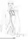 Fig. 02 - SEALS FOR DELIVERY APPARATUSES