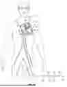 Fig. 03 - SEALS FOR DELIVERY APPARATUSES