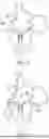 Fig. 61 - METHODS AND DEVICES FOR VENTRICULAR RESHAPING AND HEART VALVE RESHAPING