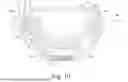 Fig. 11 - APPARATUS AND METHOD FOR LOCKING AN ACETABULAR LINER TO AN ACETABULAR CUP