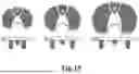 Fig. 09 - TIBIAL BASEPLATE FOR TIBIAL COMPONENT OF A KNEE PROSTHESIS, TIBIAL COMPONENT COMPRISING THE TIBIAL BASEPLATE AND METHOD FOR MANUFACTURING THE TIBIAL BASEPLATE