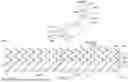 Fig. 09 - ENDOPROSTHESIS WITH IMPROVED CHARACTERISTICS