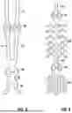 Fig. 07 - SLEEVE FOR A CATHETER