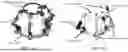 Fig. 11 - Wearable Head-Neck Traction Braces with Two End-Effector Degrees-of-Freedom