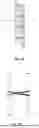 Fig. 05 - TAMPON INCLUDING SECONDARY ABSORBENT