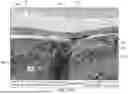 Fig. 25 - BODY-CONFORMABLE ABSORBENT ARTICLES WITH AN ELASTIC BACKSHEET