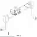 Fig. 19 - PATIENT POSITIONING SYSTEM