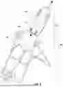 Fig. 07 - IMPROVED TILTING INVERSION EXERCISER FOR INDEPENDENT MOVEMENT OF A USER TORSO