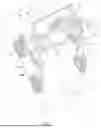 Fig. 08 - LIGHT SOURCE FOR EMISSION OF PROJECTIONS INDICATING IDEAL FOOT PLACEMENT AND ORIENTATION RELATIVE TO A WALKING AID