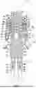 Fig. 02 - MASSAGE DEVICES, MASSAGE ELEMENTS, AND METHODS FOR RELIEVING SOFT TISSUE PAIN AND TENSION
