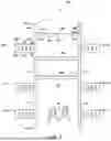 Fig. 03 - MASSAGE DEVICES, MASSAGE ELEMENTS, AND METHODS FOR RELIEVING SOFT TISSUE PAIN AND TENSION