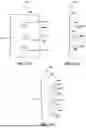 Fig. 12 - MASSAGE DEVICES, MASSAGE ELEMENTS, AND METHODS FOR RELIEVING SOFT TISSUE PAIN AND TENSION