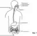 Fig. 08 - Smart Endoscope