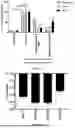 Fig. 05 - IMPROVEMENTS IN OR RELATING TO EXTRACTS