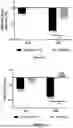 Fig. 13 - IMPROVEMENTS IN OR RELATING TO EXTRACTS