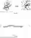 Fig. 18 - IMPROVEMENTS IN OR RELATING TO EXTRACTS