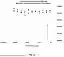 Fig. 04 - TOPICAL COMPOSITIONS AND METHODS FOR TREATING DERMATOPOROSIS