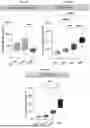 Fig. 107 - LIPID NANOPARTICLE (LNP) COMPOSITIONS FOR PLACENTA-SELECTIVE CARGO DELIVERY, AND METHODS OF USE THEREOF