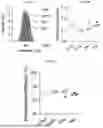 Fig. 108 - LIPID NANOPARTICLE (LNP) COMPOSITIONS FOR PLACENTA-SELECTIVE CARGO DELIVERY, AND METHODS OF USE THEREOF