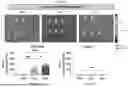 Fig. 115 - LIPID NANOPARTICLE (LNP) COMPOSITIONS FOR PLACENTA-SELECTIVE CARGO DELIVERY, AND METHODS OF USE THEREOF