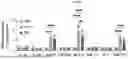 Fig. 116 - LIPID NANOPARTICLE (LNP) COMPOSITIONS FOR PLACENTA-SELECTIVE CARGO DELIVERY, AND METHODS OF USE THEREOF